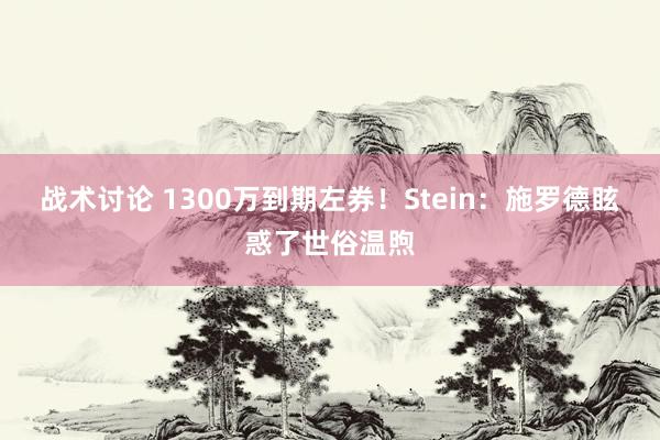 战术讨论 1300万到期左券！Stein：施罗德眩惑了世俗温煦