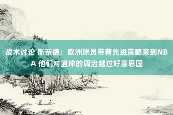 战术讨论 斯奈德：欧洲球员带着先进策略来到NBA 他们对篮球的调治越过好意思国